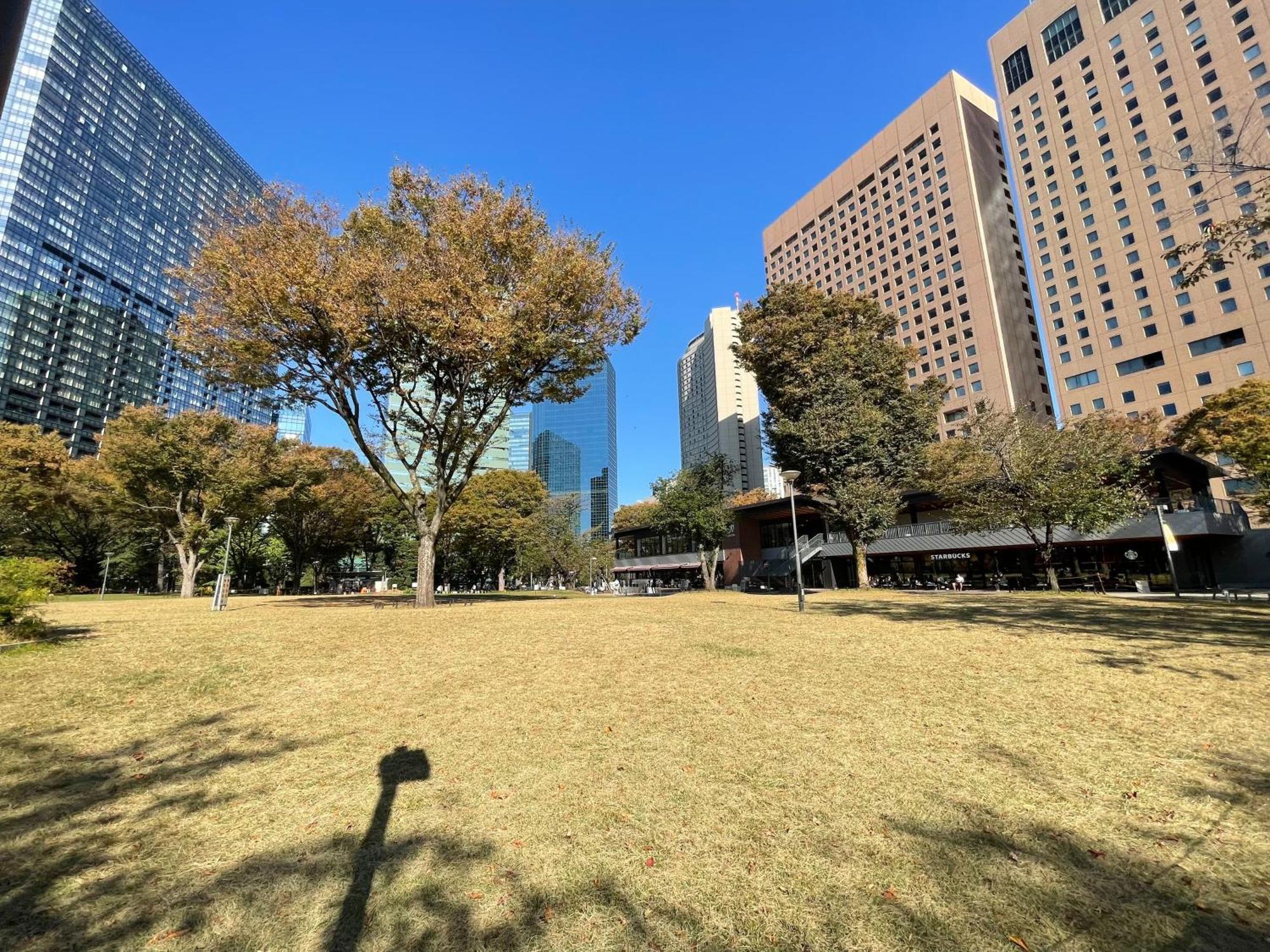 Max4people Shinjuku 7minutes Shibuya12 Minutes 5minutes Walk From Hatsudai Station Leon Shibuya * 東京都
