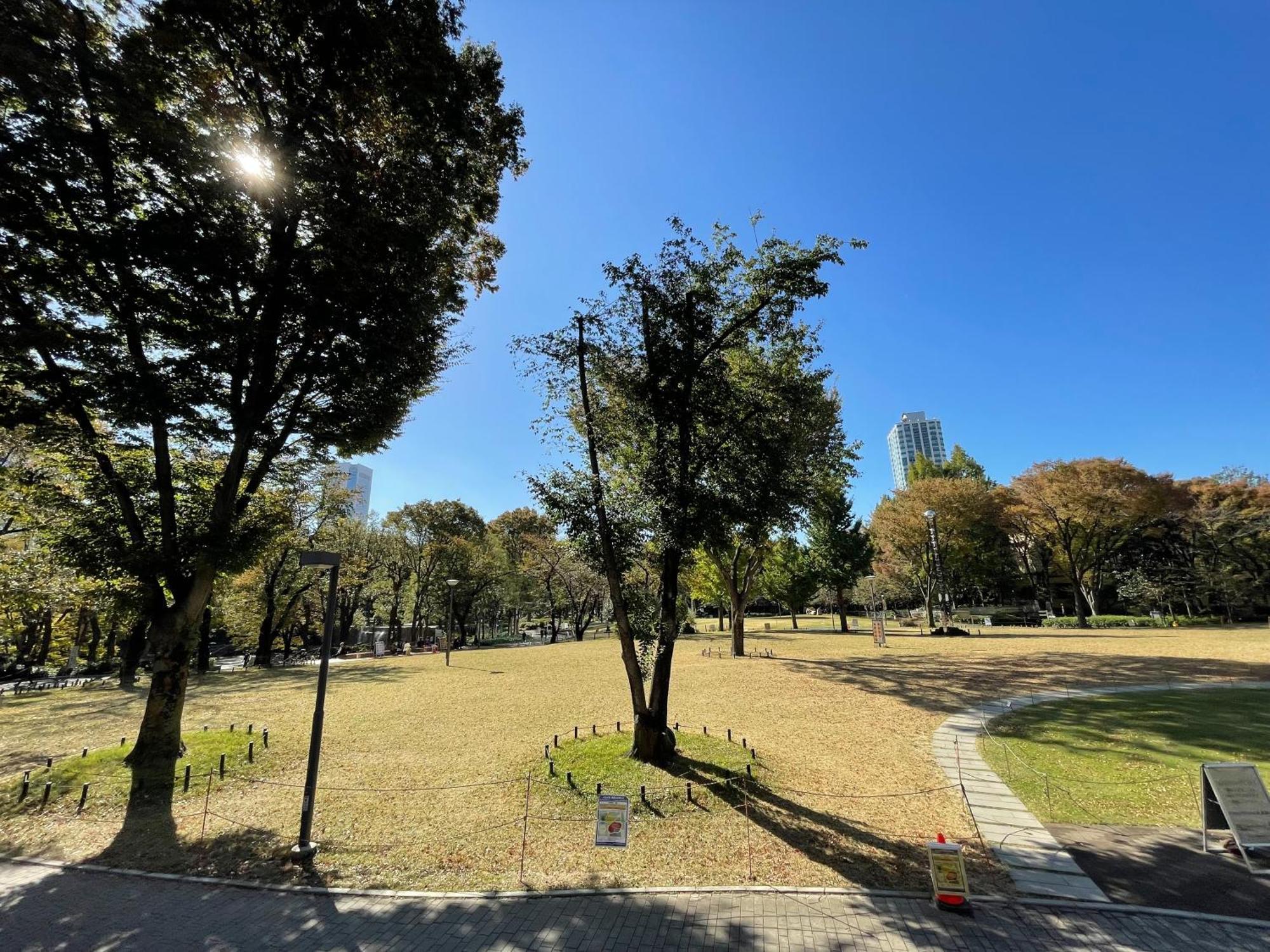 Max4people Shinjuku 7minutes Shibuya12 Minutes 5minutes Walk From Hatsudai Station Leon Shibuya 公寓 *